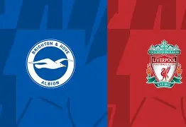 九游网页版-诺贝尔布莱顿灰瓷砖